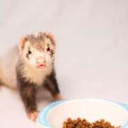 ヒメ日記 2025/07/07 02:03 投稿 三河ゆきな 麗しいマダム