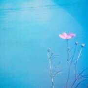 ヒメ日記 2025/09/01 18:29 投稿 三河ゆきな 麗しいマダム