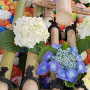 ヒメ日記 2025/06/02 17:19 投稿 三河ゆきな 美魔女エステ