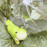 ヒメ日記 2025/10/25 19:29 投稿 三河ゆきな 美魔女エステ