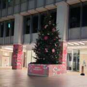 ヒメ日記 2024/12/10 05:14 投稿 三河ゆきな ワイフコレクション