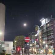 ヒメ日記 2025/02/12 05:07 投稿 三河ゆきな ワイフコレクション