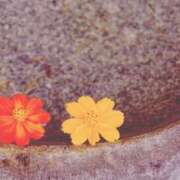 ヒメ日記 2025/02/20 19:27 投稿 三河ゆきな ワイフコレクション