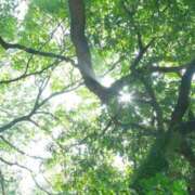 ヒメ日記 2025/02/23 10:34 投稿 三河ゆきな ワイフコレクション