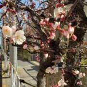 ヒメ日記 2025/02/25 18:52 投稿 三河ゆきな ワイフコレクション