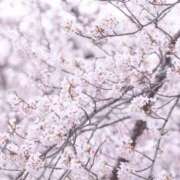 ヒメ日記 2025/03/10 11:42 投稿 三河ゆきな ワイフコレクション