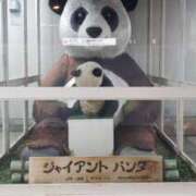 ヒメ日記 2025/03/15 04:56 投稿 三河ゆきな ワイフコレクション