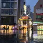 ヒメ日記 2025/04/01 05:30 投稿 三河ゆきな ワイフコレクション