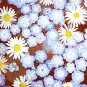 ヒメ日記 2025/04/06 20:36 投稿 三河ゆきな ワイフコレクション