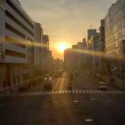 ヒメ日記 2025/04/08 05:51 投稿 三河ゆきな ワイフコレクション