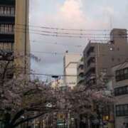 ヒメ日記 2025/04/10 05:50 投稿 三河ゆきな ワイフコレクション