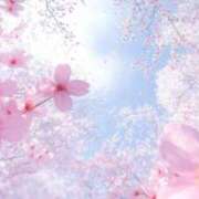 ヒメ日記 2025/04/10 20:22 投稿 三河ゆきな ワイフコレクション