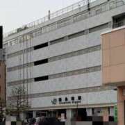 ヒメ日記 2025/04/11 16:59 投稿 三河ゆきな ワイフコレクション