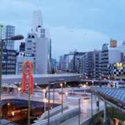 ヒメ日記 2025/06/08 05:00 投稿 三河ゆきな ワイフコレクション