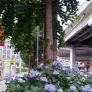 ヒメ日記 2025/06/27 05:32 投稿 三河ゆきな ワイフコレクション