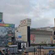 ヒメ日記 2025/07/13 06:04 投稿 三河ゆきな ワイフコレクション