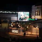 ヒメ日記 2025/08/15 00:06 投稿 三河ゆきな ワイフコレクション