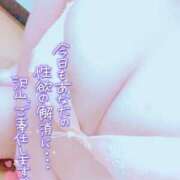 ヒメ日記 2025/07/04 20:20 投稿 しずく 僕らのぽっちゃリーノin越谷