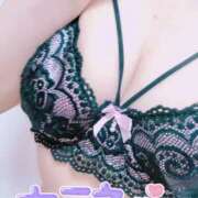 ヒメ日記 2025/09/05 17:31 投稿 しずく 僕らのぽっちゃリーノin越谷