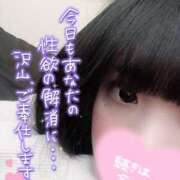 ヒメ日記 2025/01/05 19:31 投稿 しずく 僕らのぽっちゃリーノin春日部