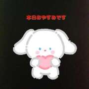 ヒメ日記 2025/06/28 13:13 投稿 かのん いわき小名浜ちゃんこ