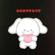 ヒメ日記 2025/11/13 12:23 投稿 かのん いわき小名浜ちゃんこ