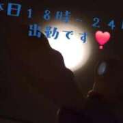 ヒメ日記 2026/05/19 05:43 投稿 かのん いわき小名浜ちゃんこ