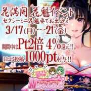 ヒメ日記 2025/03/17 23:05 投稿 はるこ 11チャンネル