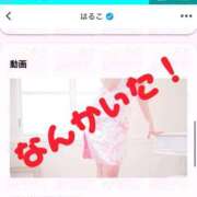 ヒメ日記 2025/03/29 12:44 投稿 はるこ 11チャンネル