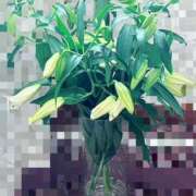 ヒメ日記 2026/06/14 09:28 投稿 さくら 当たりSPA
