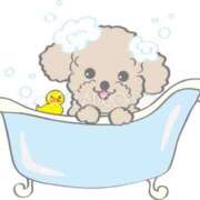 ヒメ日記 2025/04/20 22:21 投稿 みらい スピードエコ京橋店