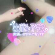 ヒメ日記 2025/02/08 21:56 投稿 くらげ スピードエコ京橋店