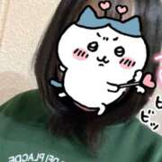 ヒメ日記 2025/03/29 14:21 投稿 くらげ スピードエコ京橋店