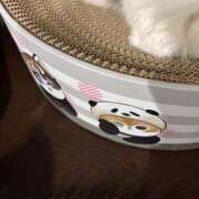 ヒメ日記 2025/04/01 10:56 投稿 あさひ ZERO-i