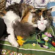 ヒメ日記 2025/08/30 15:33 投稿 あさひ ZERO-i