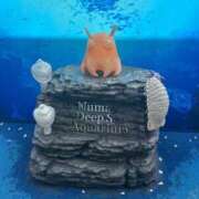 ヒメ日記 2025/04/07 16:58 投稿 まゆり 静岡♂風俗の神様 静岡店