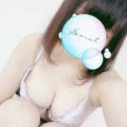 ヒメ日記 2025/04/12 12:23 投稿 せいら 熟女の風俗最終章 本厚木店