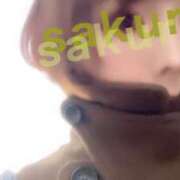 ヒメ日記 2024/12/15 22:34 投稿 さくら 錦糸町人妻セレブリティ（ユメオト）