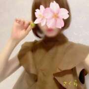 ヒメ日記 2025/04/26 08:30 投稿 さくら 錦糸町人妻セレブリティ（ユメオト）