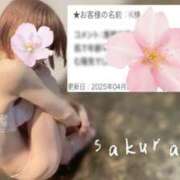 ヒメ日記 2025/04/30 18:40 投稿 さくら 錦糸町人妻セレブリティ（ユメオト）