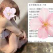 ヒメ日記 2025/05/03 07:40 投稿 さくら 錦糸町人妻セレブリティ（ユメオト）