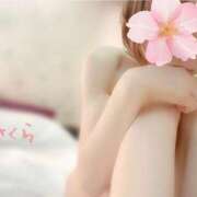 ヒメ日記 2025/05/16 06:41 投稿 さくら 錦糸町人妻セレブリティ（ユメオト）