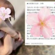 ヒメ日記 2025/06/01 23:48 投稿 さくら 錦糸町人妻セレブリティ（ユメオト）