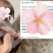 ヒメ日記 2025/06/10 10:10 投稿 さくら 錦糸町人妻セレブリティ（ユメオト）