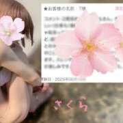 ヒメ日記 2025/06/12 15:36 投稿 さくら 錦糸町人妻セレブリティ（ユメオト）