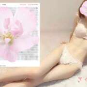 ヒメ日記 2025/06/15 11:59 投稿 さくら 錦糸町人妻セレブリティ（ユメオト）