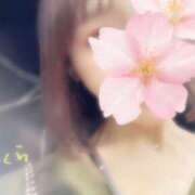 ヒメ日記 2025/06/28 00:40 投稿 さくら 錦糸町人妻セレブリティ（ユメオト）