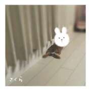 ヒメ日記 2025/07/08 16:06 投稿 さくら 錦糸町人妻セレブリティ（ユメオト）