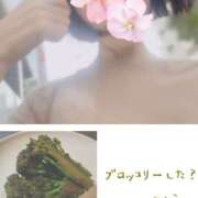 ヒメ日記 2025/07/19 00:26 投稿 さくら 錦糸町人妻セレブリティ（ユメオト）