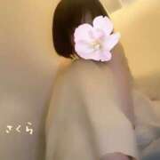 ヒメ日記 2025/08/05 16:28 投稿 さくら 錦糸町人妻セレブリティ（ユメオト）